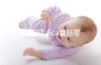 【冷知識】5ca囊胚等級低,質(zhì)量并不能代表成功率