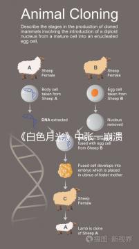 《白色月光》中張一崩潰在孩子面前哭，你認為該不該？