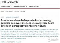 “吐血整理”細數(shù)三代試管嬰兒操作流程