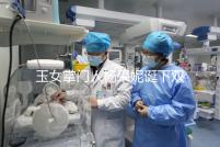 玉女掌門人楊采妮誕下雙胞胎，公布懷孕5月照絕絕子