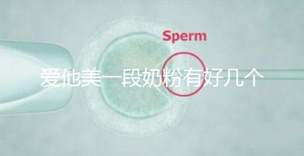 愛他美一段奶粉有好幾個版本，但真偽查詢方法都相似