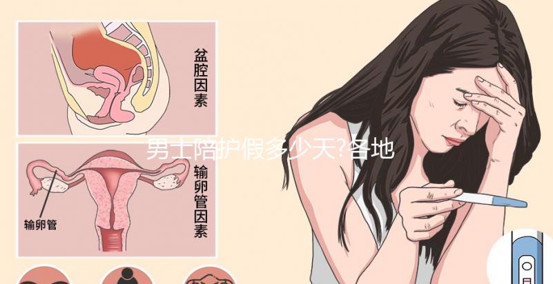 男士陪護假多少天?各地陪產(chǎn)假天數(shù)匯總