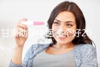 甘肅助孕中醫(yī)哪個(gè)好2024，成功率高又便宜？