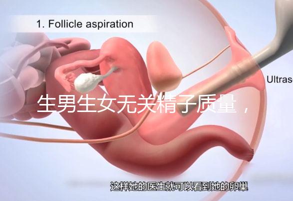 生男生女無關精子質量,分享成功懷男孩的4個細節(jié)經驗