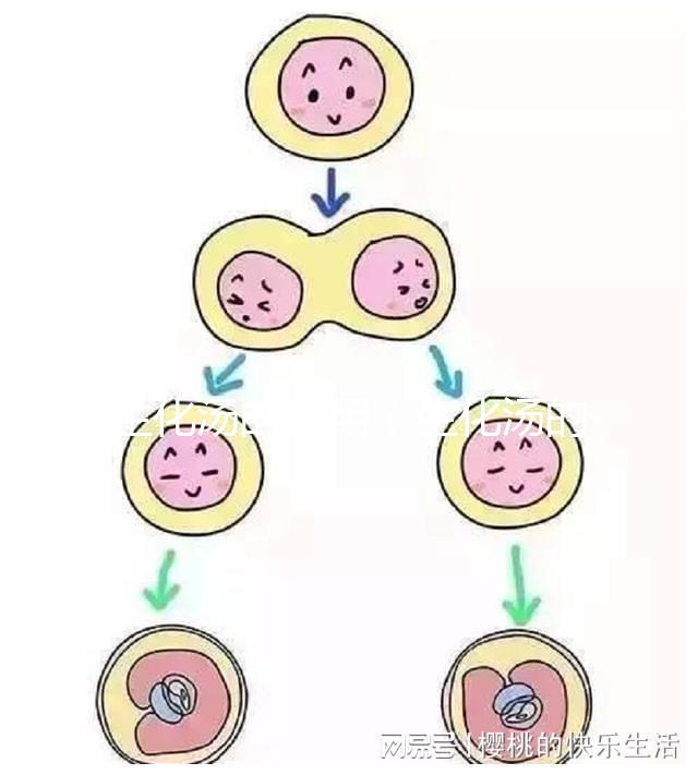 生化湯的作用（生化湯的作用與功效）