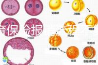 生育保險報(bào)銷流程不復(fù)雜，辦理地點(diǎn)不分地域異地可報(bào)銷