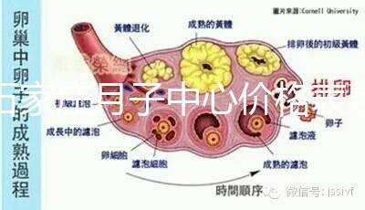 石家莊月子中心價(jià)格表整理，長(zhǎng)安最貴最好的一家原來是它