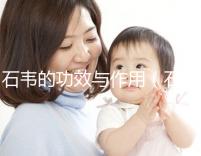 石韋的功效與作用（石韋的功效與作用主要治什么病）