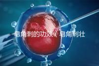 皂角刺的功效(皂角刺壯陽多強)