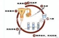 盤點水痘潛伏期能打疫苗嗎，盲目接種水痘疫苗作用不大