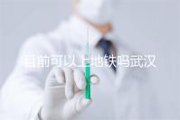 目前可以上地鐵嗎武漢