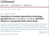 目前國外做試管嬰兒需要結婚證嗎？不同地區證照要求解讀