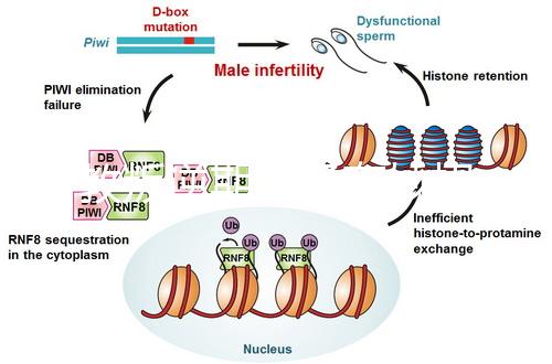 管教叛逆期孩子有妙招，這四個方法遠勝封閉式管理
