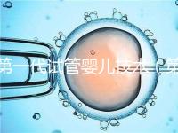 第一代試管嬰兒技術(shù)(第一代試管嬰兒技術(shù)是指)