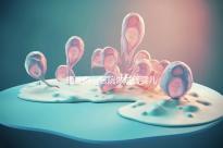 福建附一醫院做試管嬰兒怎么樣，2024助孕成功率數據公布