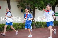 移植凍胚14天為何會(huì)出血?具體原因與處理方法一看便知