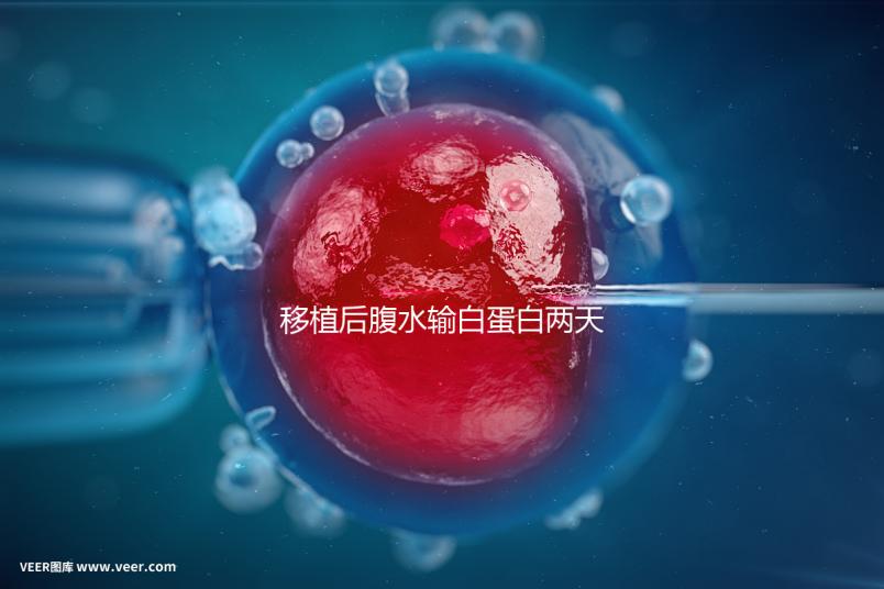 移植后腹水輸白蛋白兩天不好怎么辦?關鍵是找出發生了什么