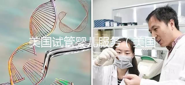 美國試管嬰兒服務(wù)（美國試管嬰兒服務(wù)套餐）