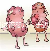 美國試管嬰兒:走進(jìn)冷凍卵子技術(shù)