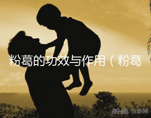 粉葛的功效與作用（粉葛與葛根有什么區(qū)別）