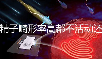 精子畸形率高都不活動還能做試管嬰兒嗎？