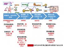 精子濃度高需及時治療,搭配飲食調理助你突破生育危機