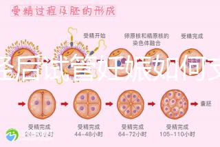 絕經后試管妊娠如何支持黃體戳，醫生：掌握時間很重要