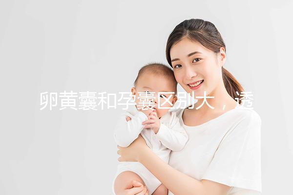 卵黃囊和孕囊區別大，透過B超首次為你揭露其形狀