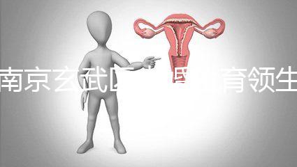 南京玄武區(qū)未婚生育領生育金看條件，社會撫養(yǎng)費交不了多少