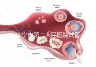 南寧市第二人民醫(yī)院試管成功率不低有前提，選對(duì)醫(yī)生更好孕