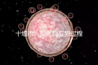 十堰市人民醫(yī)院取卵過(guò)程詳解,三種情況可全身麻醉