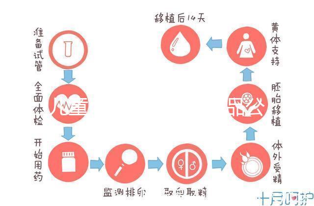 兒童牙膏十大國(guó)產(chǎn)產(chǎn)品公布,2024年哪些品牌看這個(gè)
