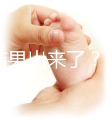 養(yǎng)囊結果出來了?3ab囊胚成功率、質量好不好看這里