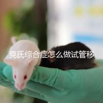 克氏綜合癥怎么做試管移植看這，促排取卵一個流程不能少