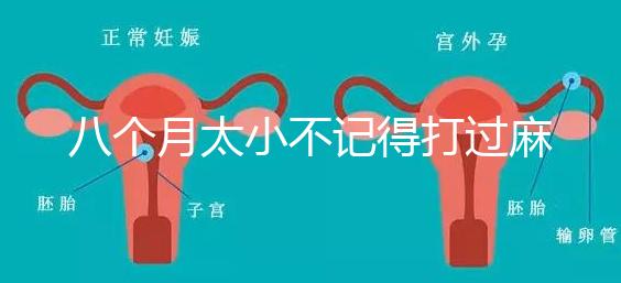 八個(gè)月太小不記得打過麻風(fēng)疫苗看這,2大反應(yīng)教你辨別