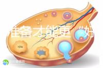 做好準備才能更“好孕”！美國試管嬰兒進周前后3大注意事項