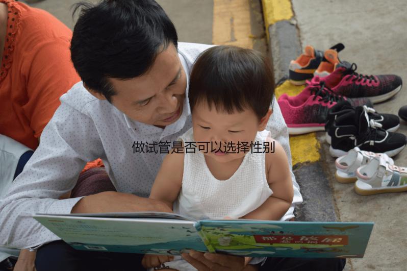做試管是否可以選擇性別和雙胞胎(做試管是否可以選擇性別和雙胞胎呢)