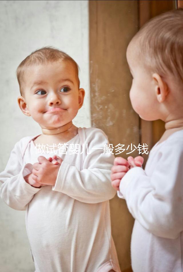 做試管嬰兒一般多少錢(qián)