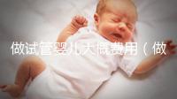 做試管嬰兒大概費用（做試管嬰兒大概費用多少）