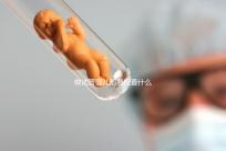 做試管嬰兒都要檢查什么（做試管嬰兒都要檢查什么項目）
