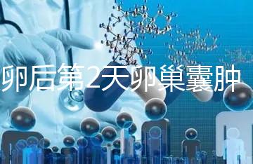 取卵后第2天卵巢囊腫，怎么能快速恢復？