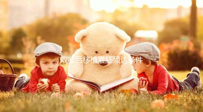 取卵后移植囊胚須達(dá)條件！至少要達(dá)到這3個(gè)標(biāo)準(zhǔn)