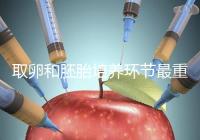 取卵和胚胎培養環節最重要？做試管嬰兒的你一定不知道！