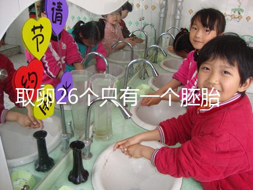 取卵26個只有一個胚胎成功率不低，次月移植凍胚易著床