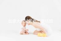 加拿大做試管要不要結婚證不知道，但這2樣證件必須要！