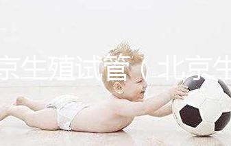 北京生殖試管(北京生殖試管嬰兒)