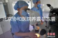 北京協和醫院養囊與凍囊費用參考，做好這4點成功率上漲