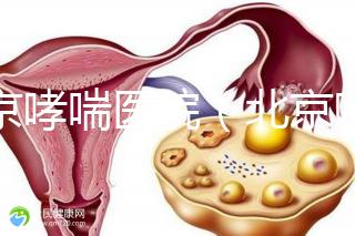 北京哮喘醫(yī)院(北京哮喘醫(yī)院哪家好)