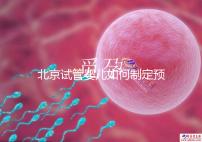 北京試管嬰兒如何制定預算，費用解析必看
