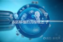 凍胚移植的流程概述:子宮內(nèi)膜及身體準(zhǔn)備非常重要